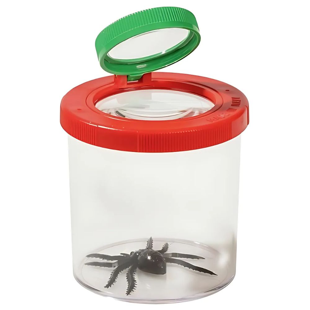Boîte loupe à insectes
