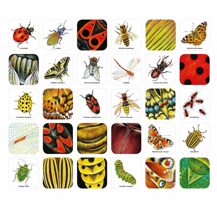 Mémo des insectes - Un jeu de memory pour apprendre en s'amusant en famille - Dès 4 ans