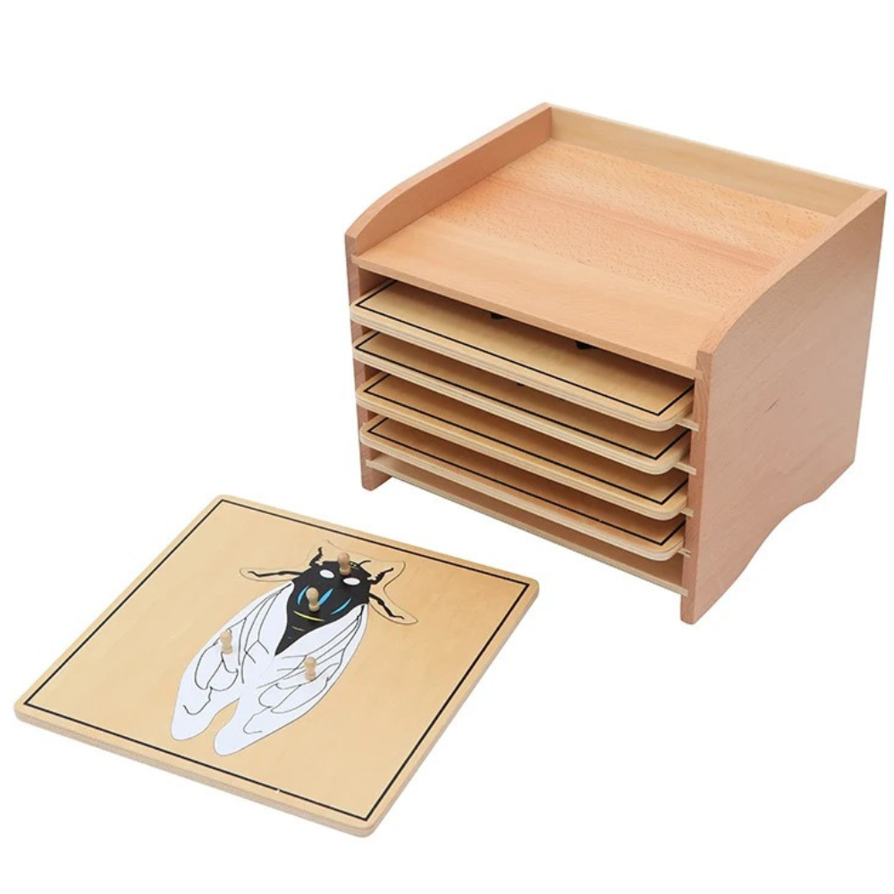 Cabinet + 5 puzzles insectes