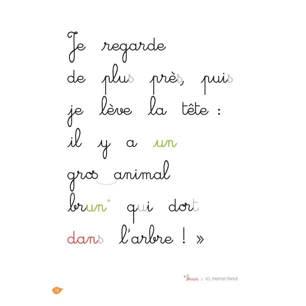 La jungle , niveau 2 - J'apprends à lire Montessori