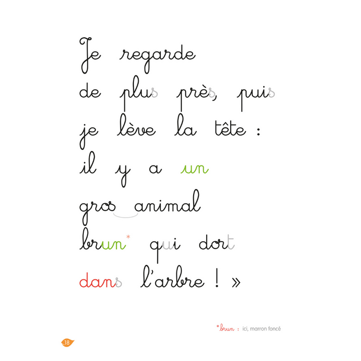 La jungle , niveau 2 - J'apprends à lire Montessori