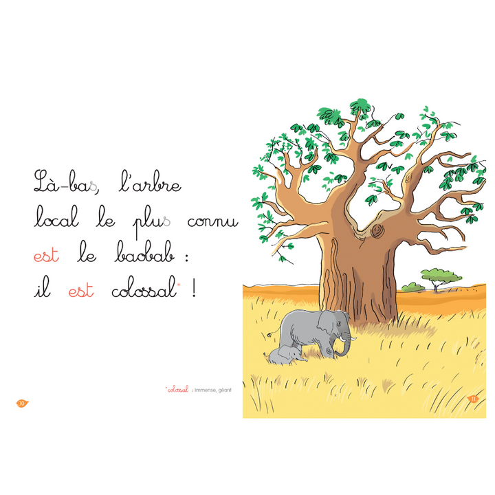 En route pour la savane, niveau 2 - J'apprends à lire Montessori