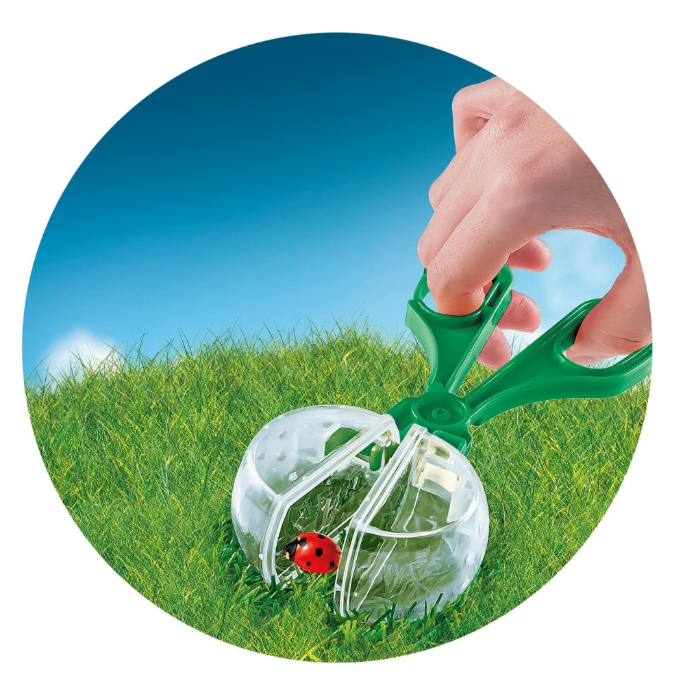 La Maison des Insectes