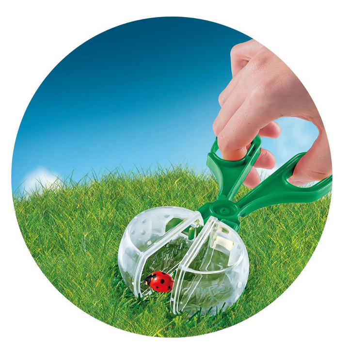 La Maison des Insectes