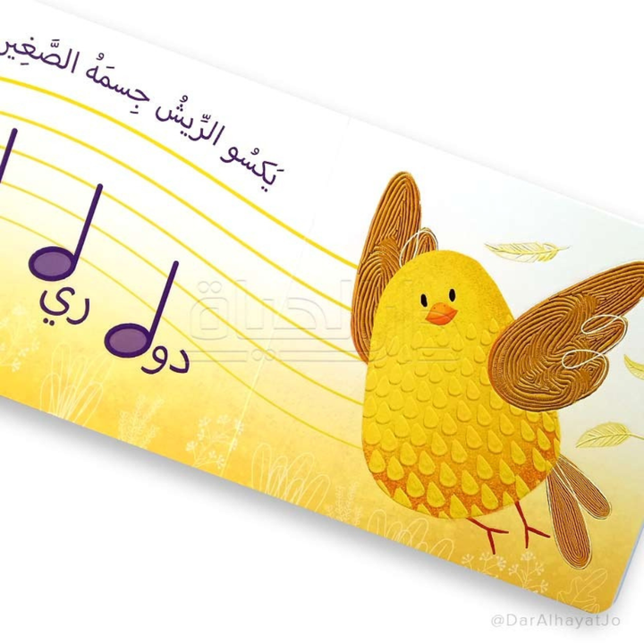 الرؤية, اللمس, الإحساس - كناري يطير - 3 - Eveil Montessori Maroc