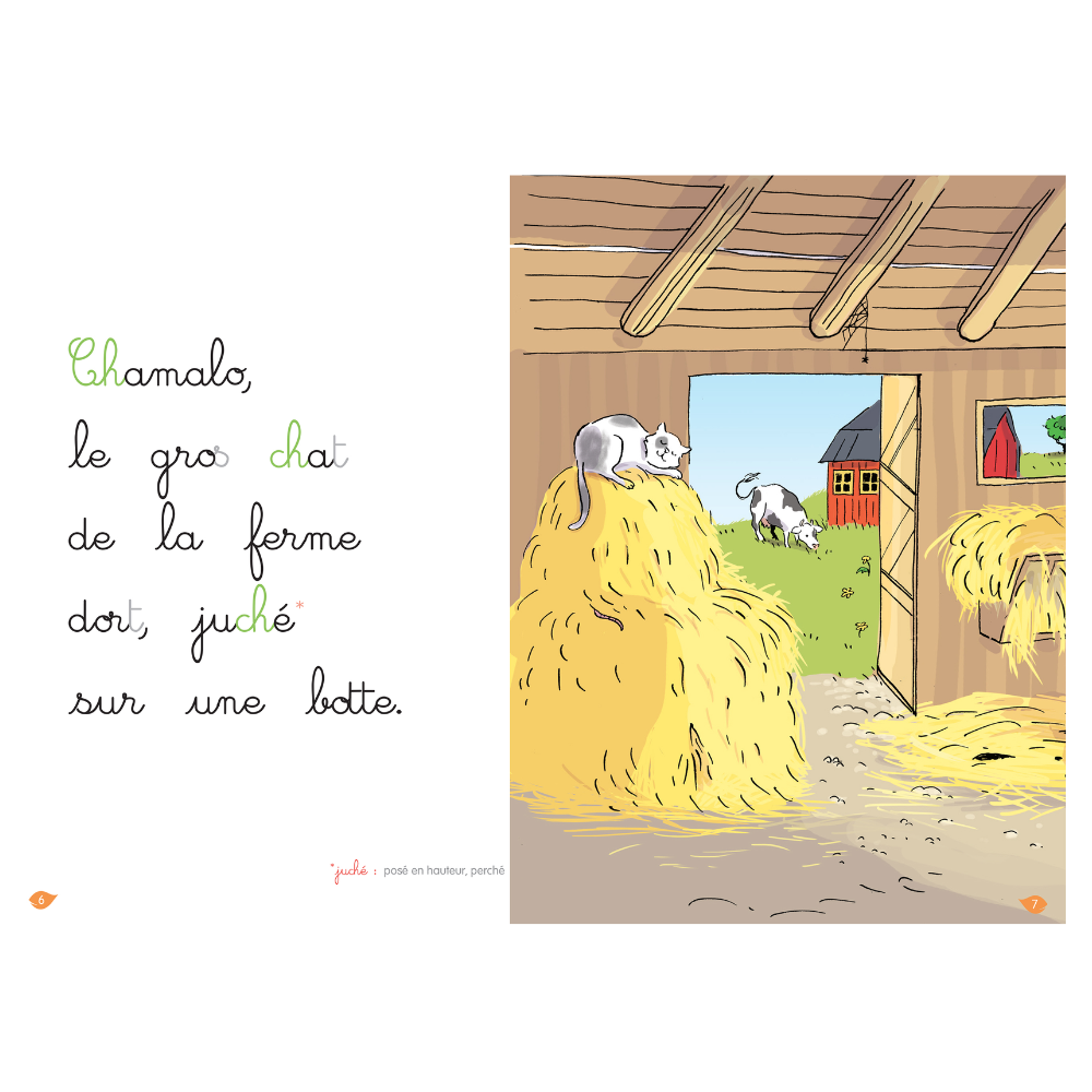 Bravo Chamalo ! niveau 2 - J'apprends à lire Montessori