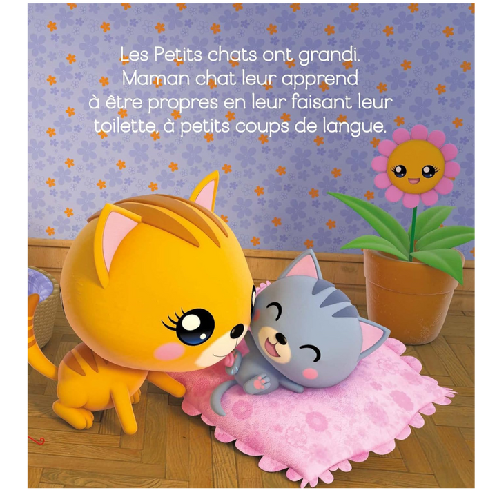 Bonjour bébés chats !
