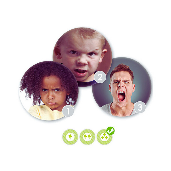 Reconnaître et guider les émotions