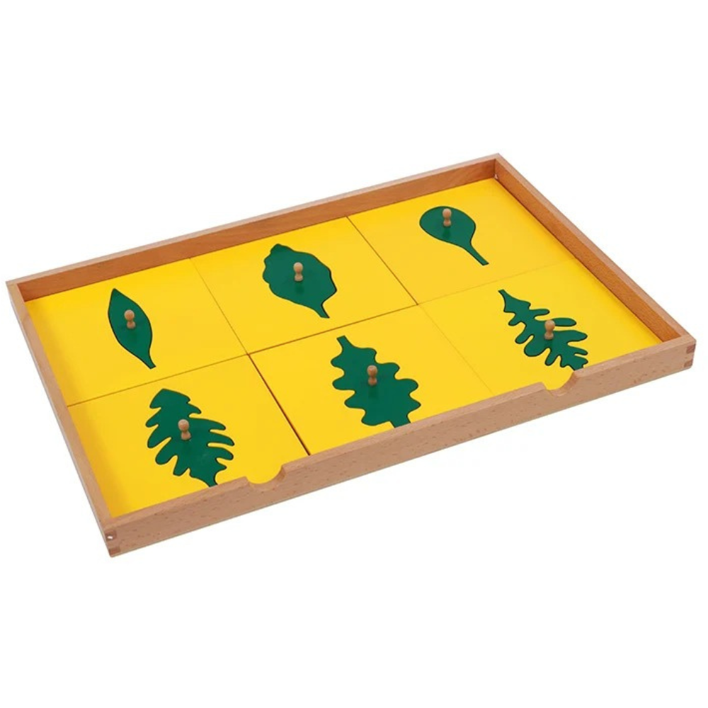 Cabinet de botanique (meuble de feuilles en bois)