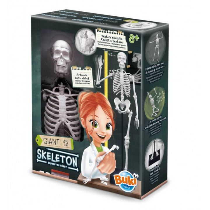 Squelette 45 cm