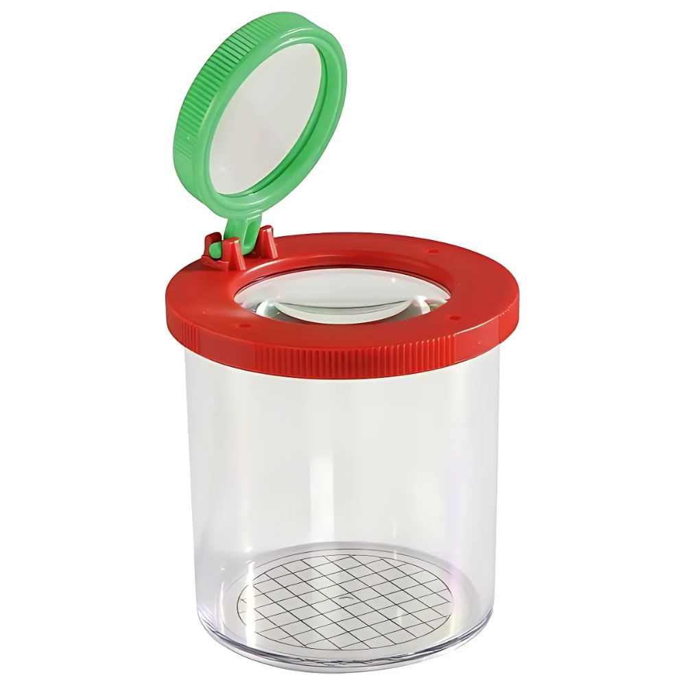 Boîte loupe à insectes