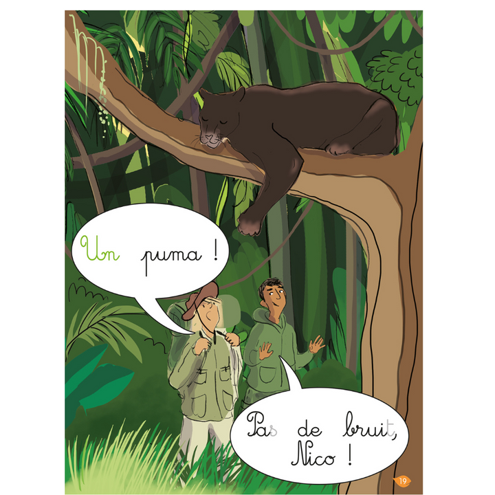 La jungle , niveau 2 - J'apprends à lire Montessori