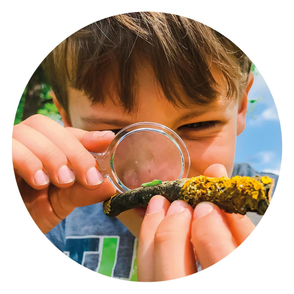 La Maison des Insectes