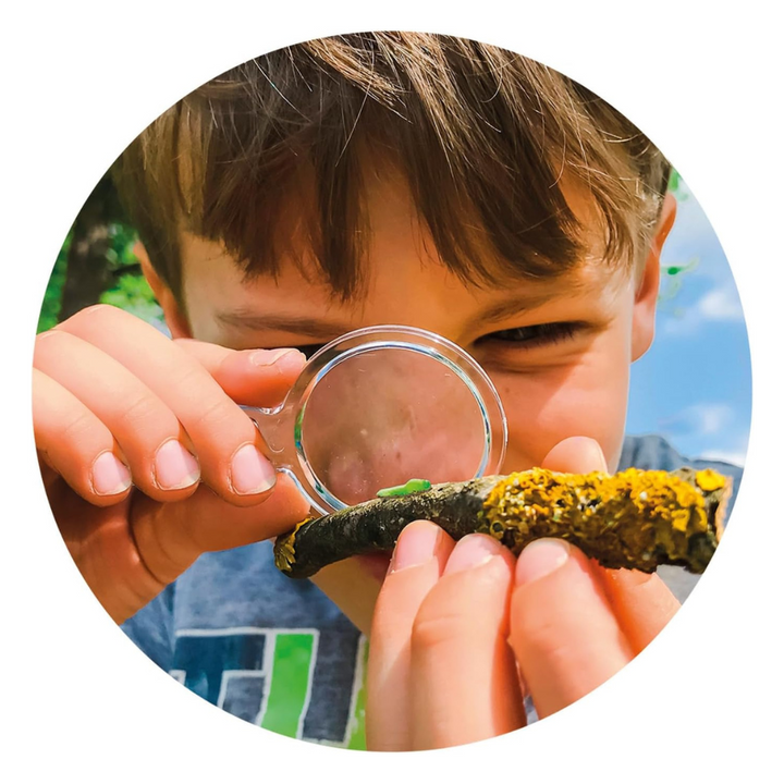 La Maison des Insectes