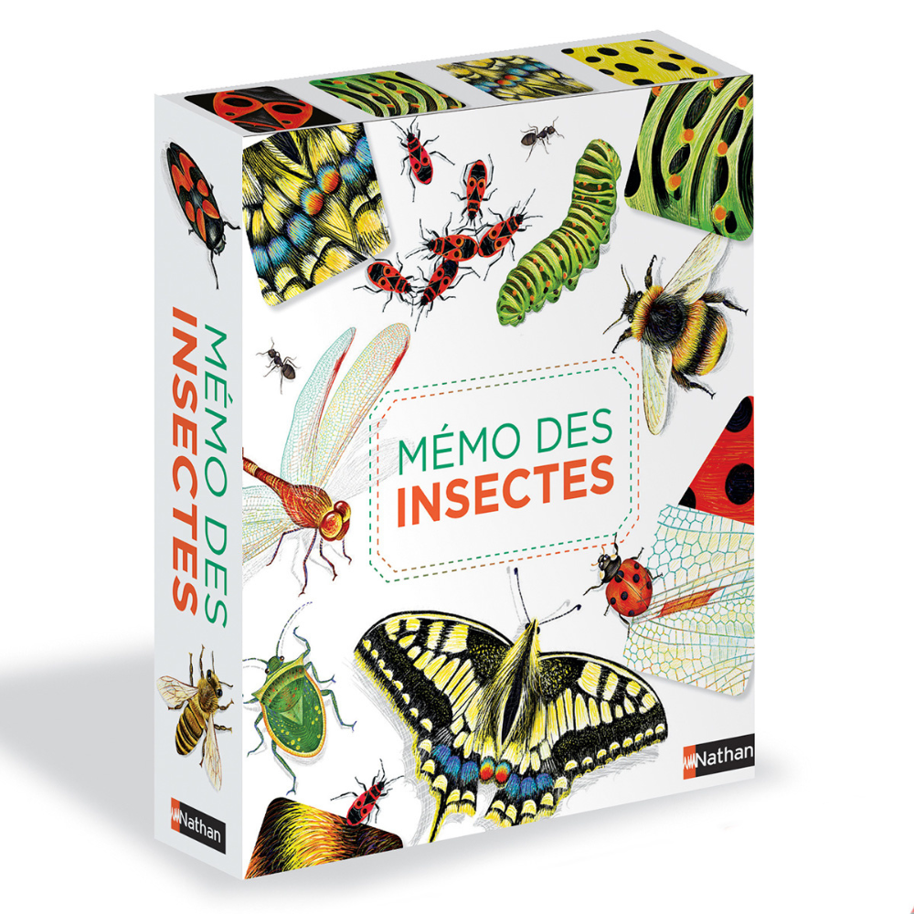 Mémo des insectes - Un jeu de memory pour apprendre en s'amusant en famille - Dès 4 ans