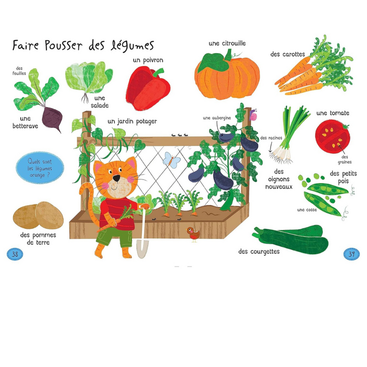 Mes 1000 premiers mots avec des cherche et trouve