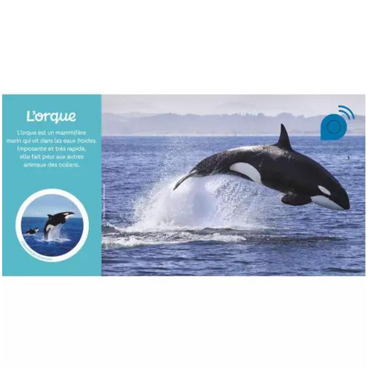 Mes premiers sonores - Les animaux du froid