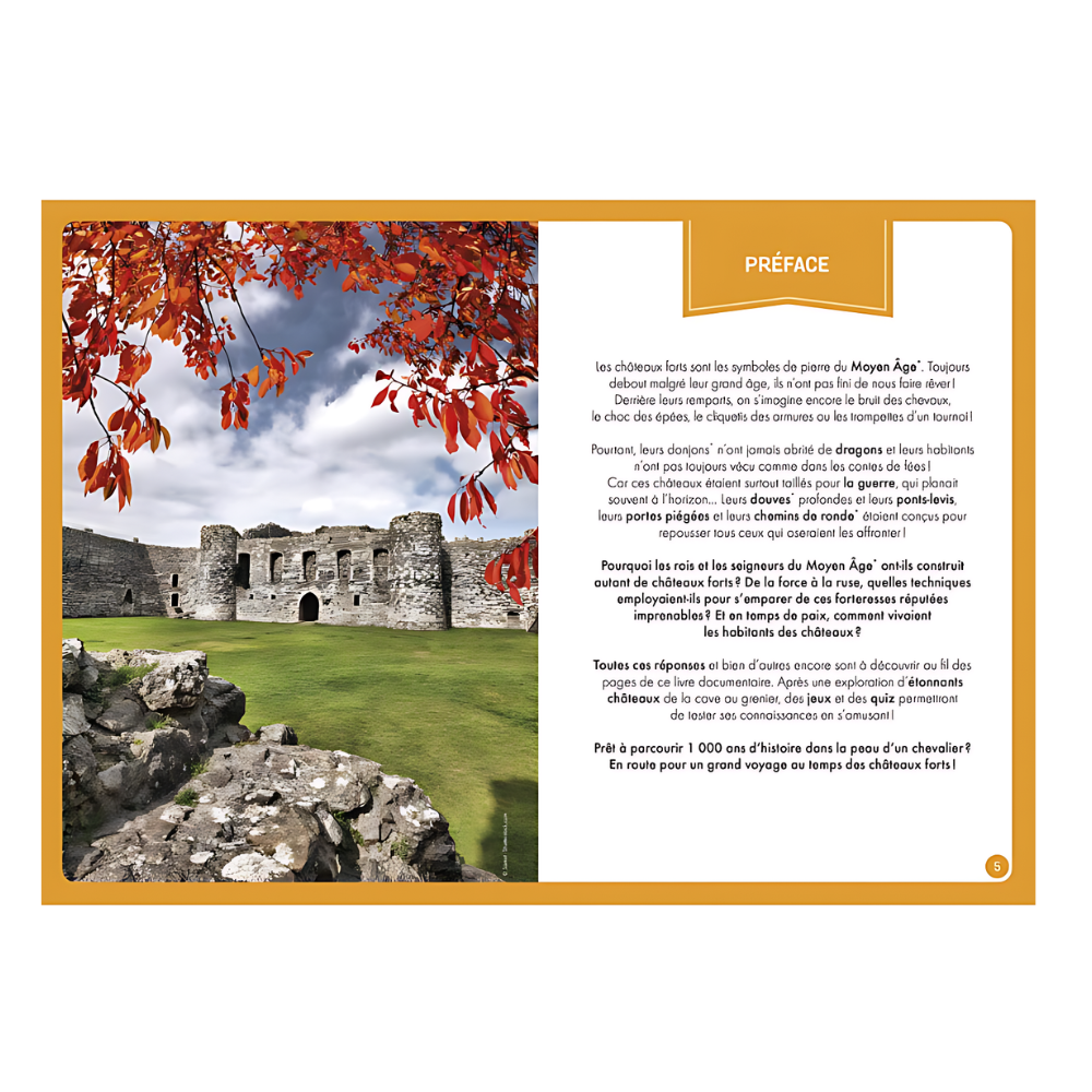 À la découverte des châteaux forts