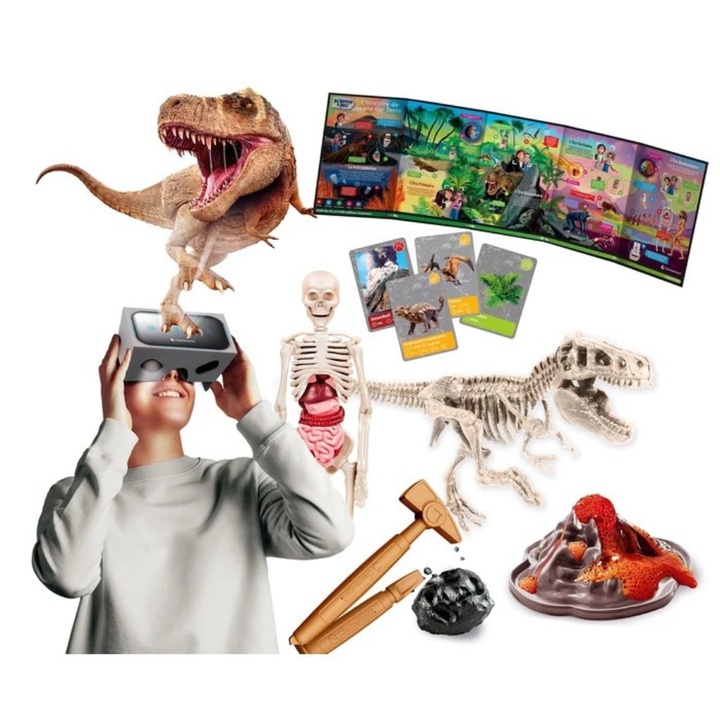 L'histoire de la vie sur Terre - Réalité Virtuelle - 5 - Eveil Montessori Maroc