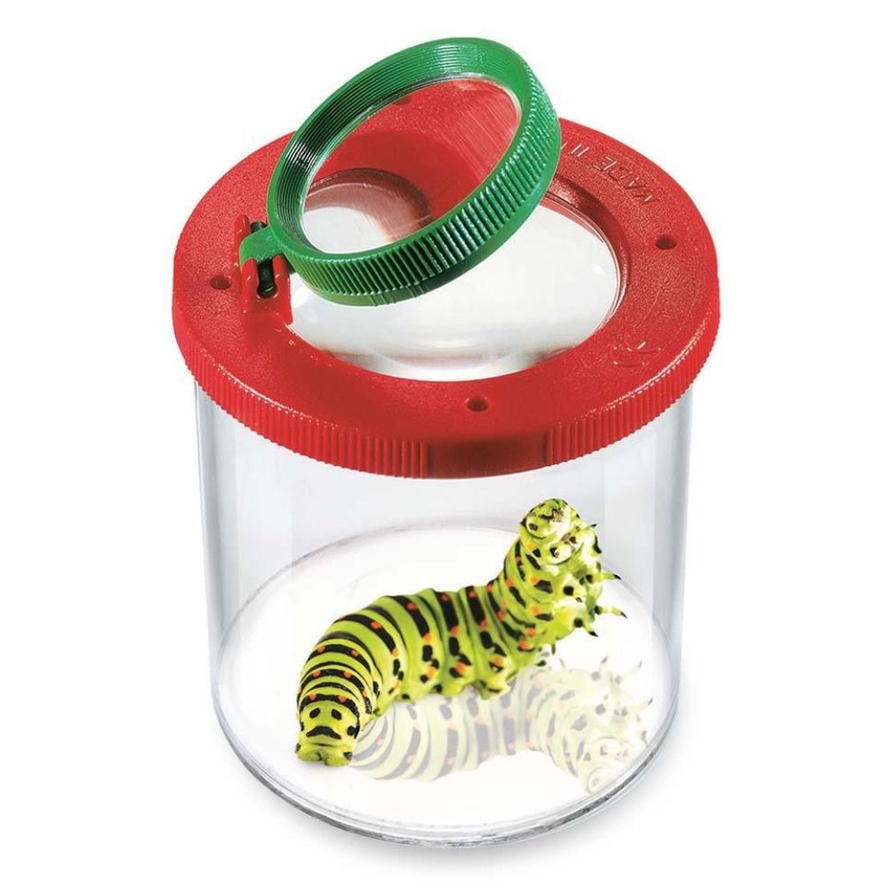 Boîte loupe à insectes