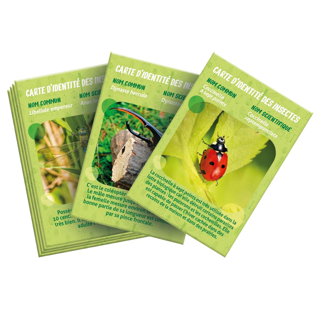 La Maison des Insectes