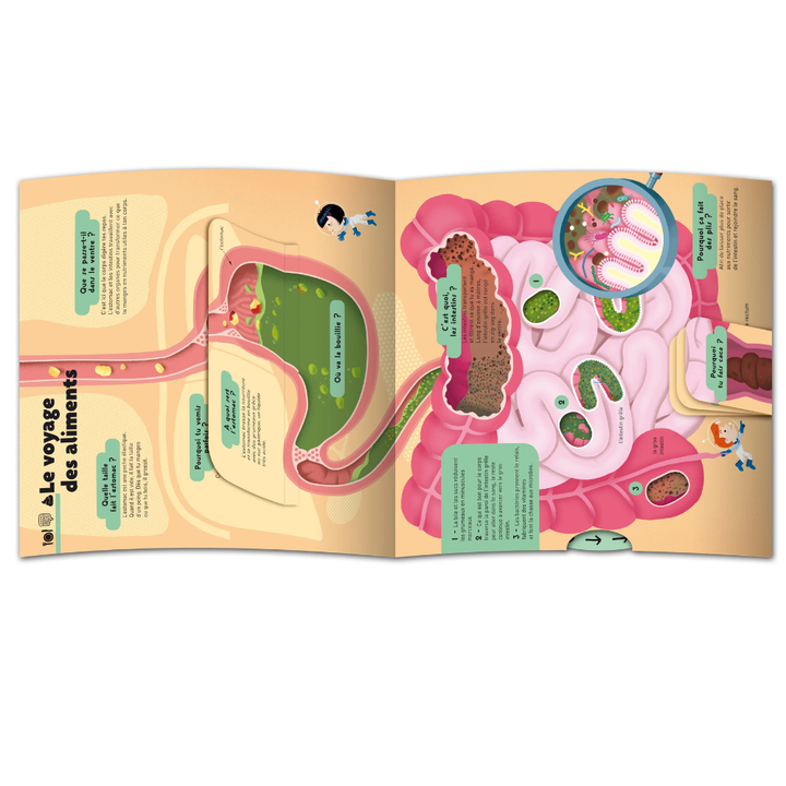 Le grand Kididoc du corps humain - Livre pop-up - dès 4 ans - 2 - Eveil Montessori Maroc