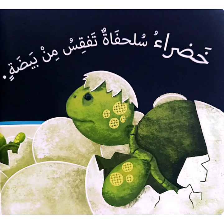 الرؤية، اللمس، الإحساس – خضراء تزحف | Livre sensoriel cartonné pour bébés - 3 - Eveil Montessori Maroc