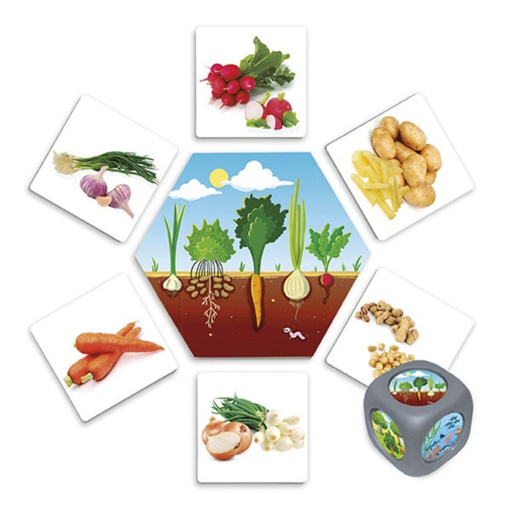 D'où viennent les aliments ? – Jeu éducatif d'association sur l'origine des aliments - 6 - Eveil Montessori Maroc