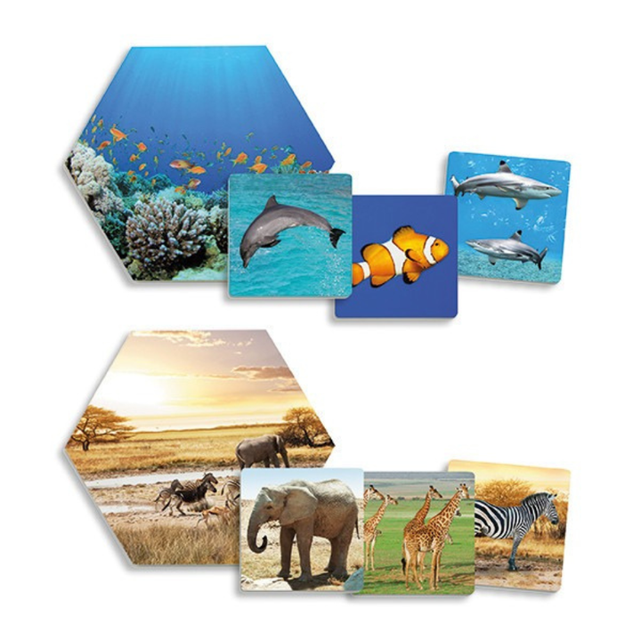Où les animaux vivent-ils ? – Jeu éducatif d'association des habitats naturels - 5 - Eveil Montessori Maroc