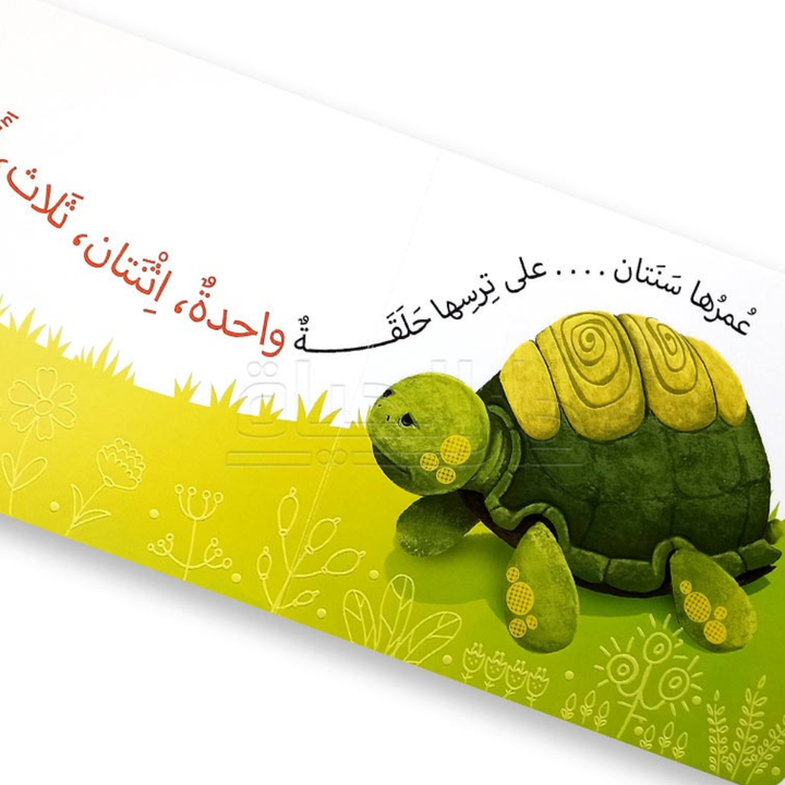 الرؤية، اللمس، الإحساس – خضراء تزحف | Livre sensoriel cartonné pour bébés - 4 - Eveil Montessori Maroc