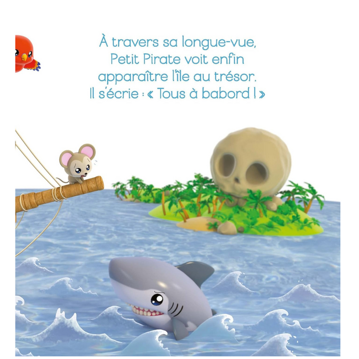 Le trésor du pirate