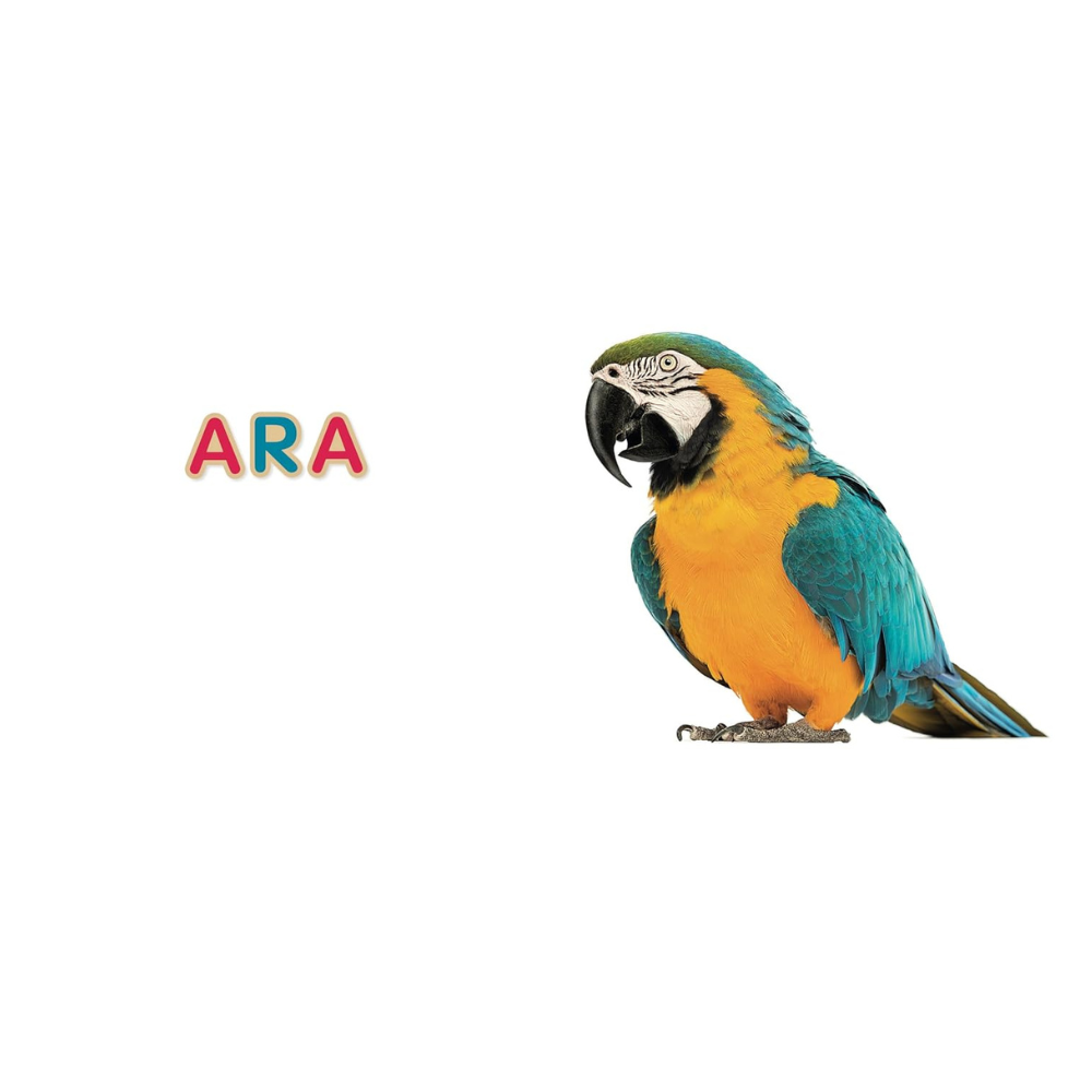 Mon imagier – Nouvelle édition 75 mots à lire dès 3 ans