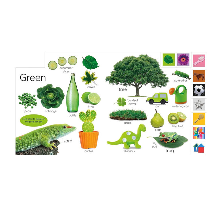 My First Colours: Let's Learn Them All! - 2 - Eveil Montessori Maroc