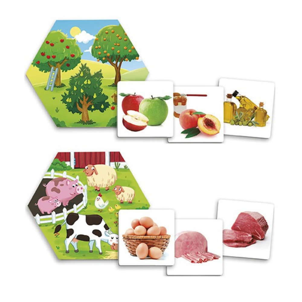 D'où viennent les aliments ? – Jeu éducatif d'association sur l'origine des aliments - 3 - Eveil Montessori Maroc