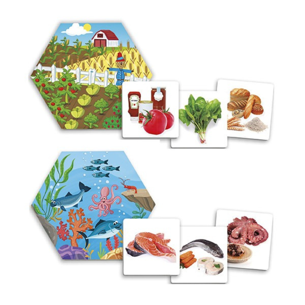 D'où viennent les aliments ? – Jeu éducatif d'association sur l'origine des aliments - 4 - Eveil Montessori Maroc
