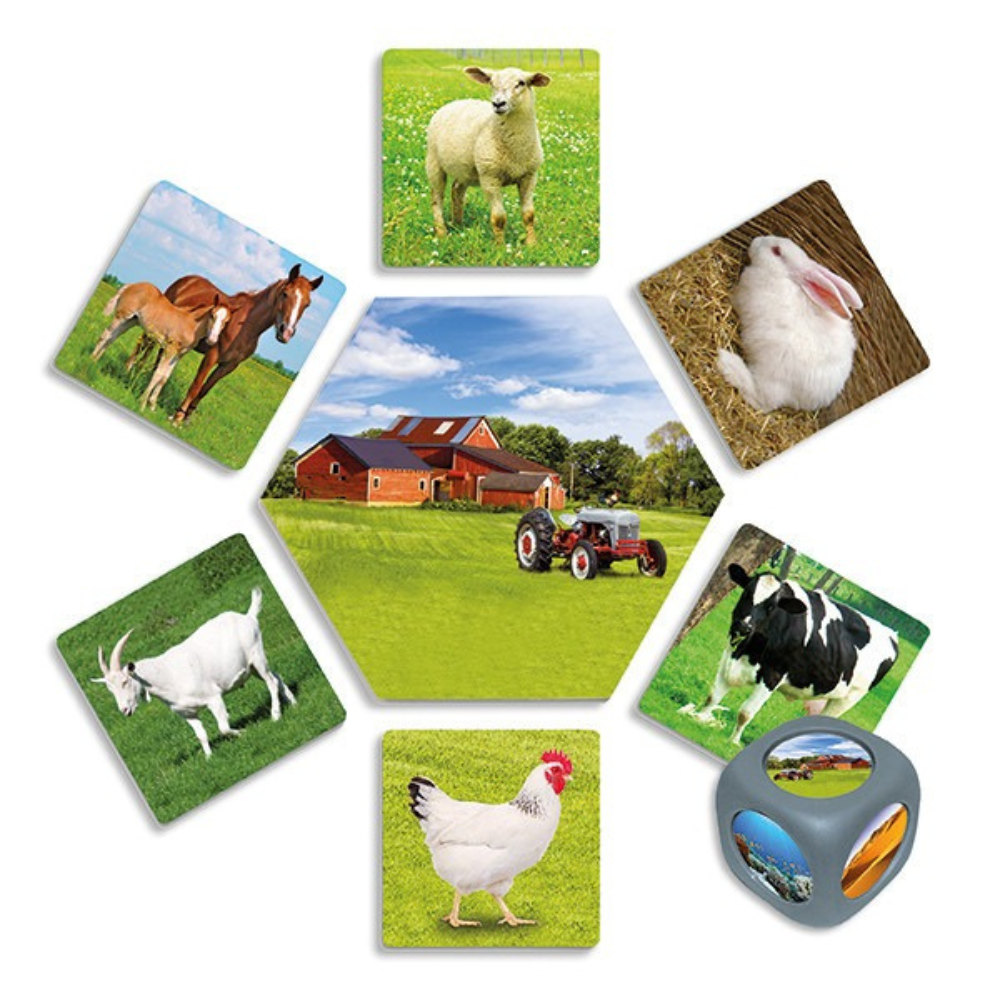Où les animaux vivent-ils ? – Jeu éducatif d'association des habitats naturels - 2 - Eveil Montessori Maroc