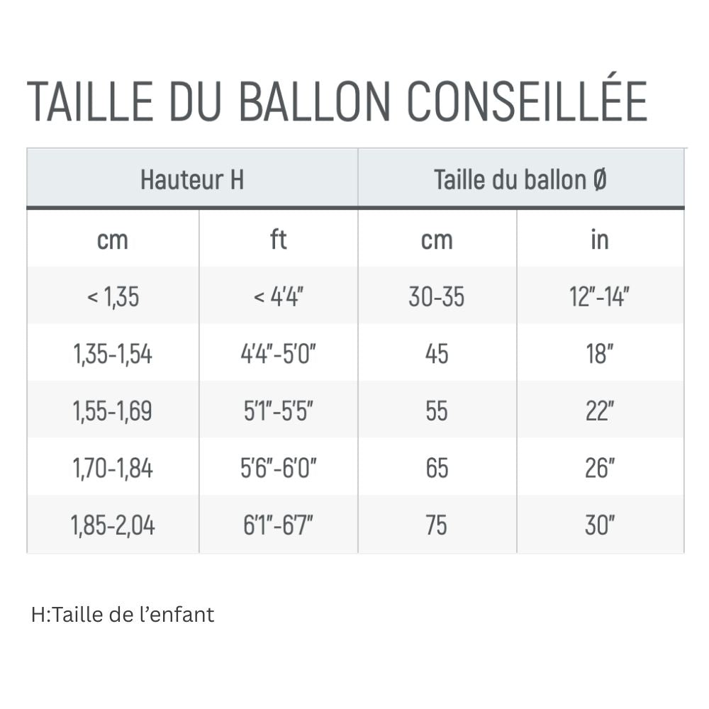 Balle Assise ergonomique Sit'n'Gym