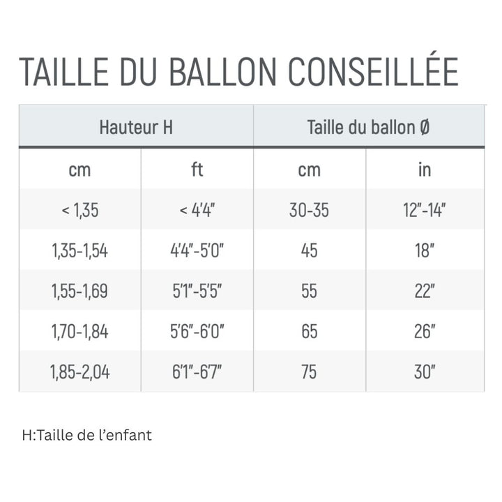 Balle Assise ergonomique Sit'n'Gym