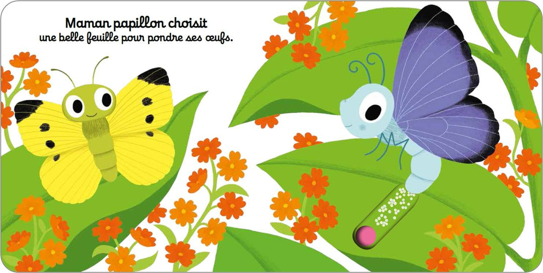 Bonjour petit papillon !