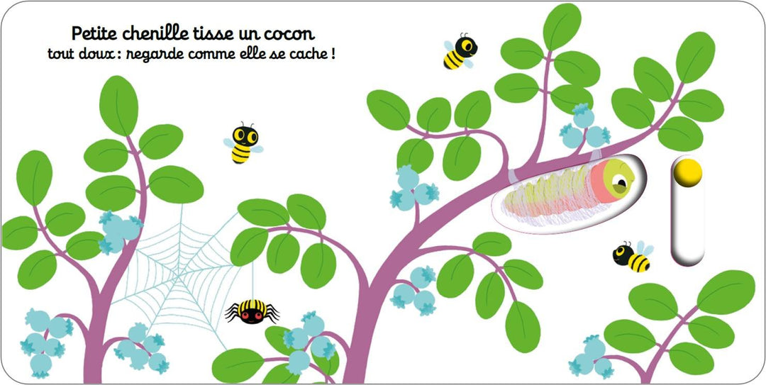 Bonjour petit papillon !