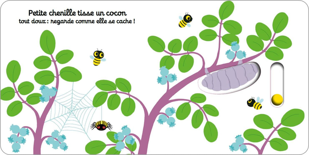 Bonjour petit papillon !