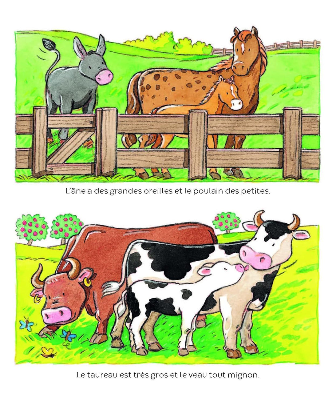 L’imagerie des tout-petits : Les animaux