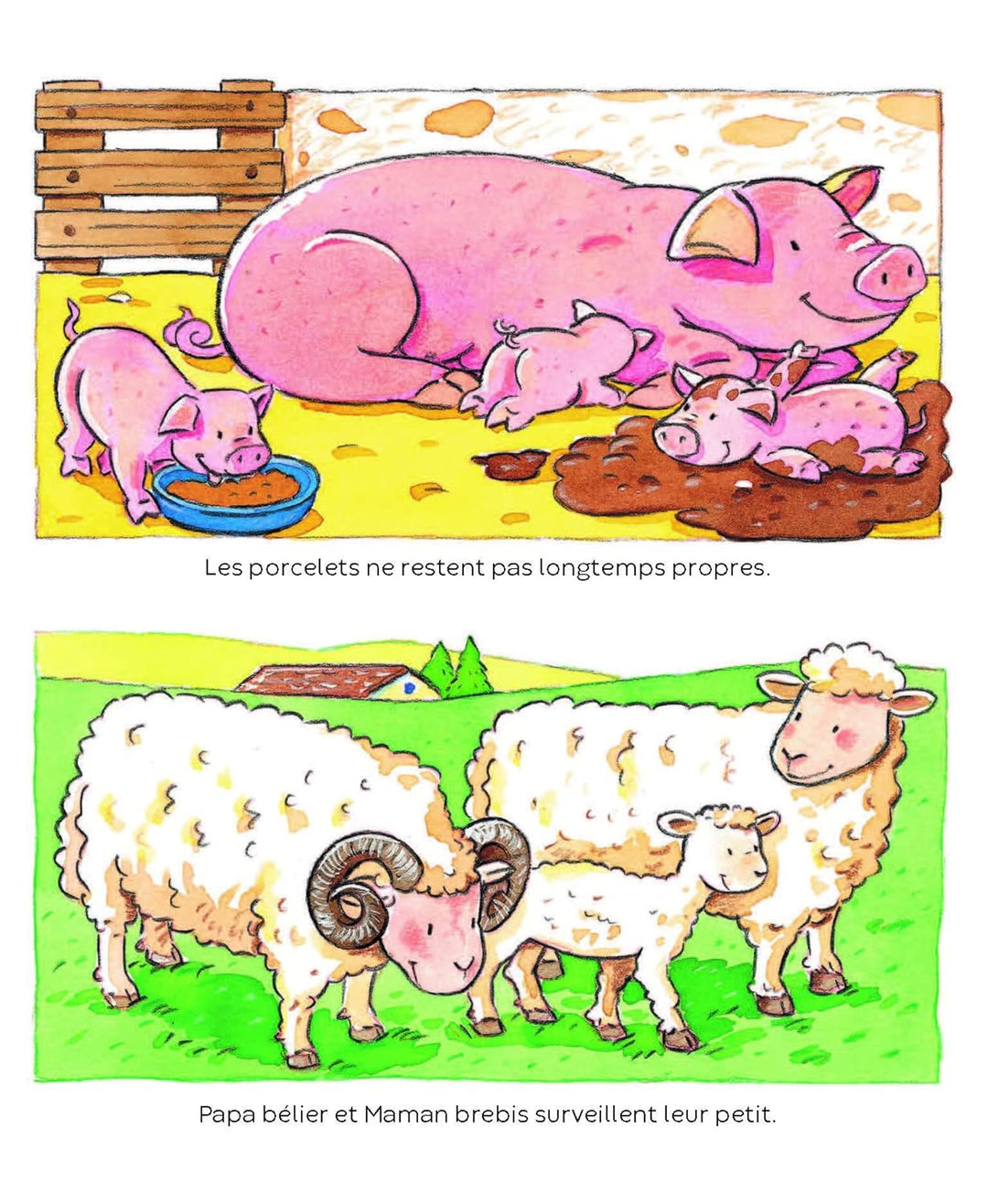 L’imagerie des tout-petits : Les animaux