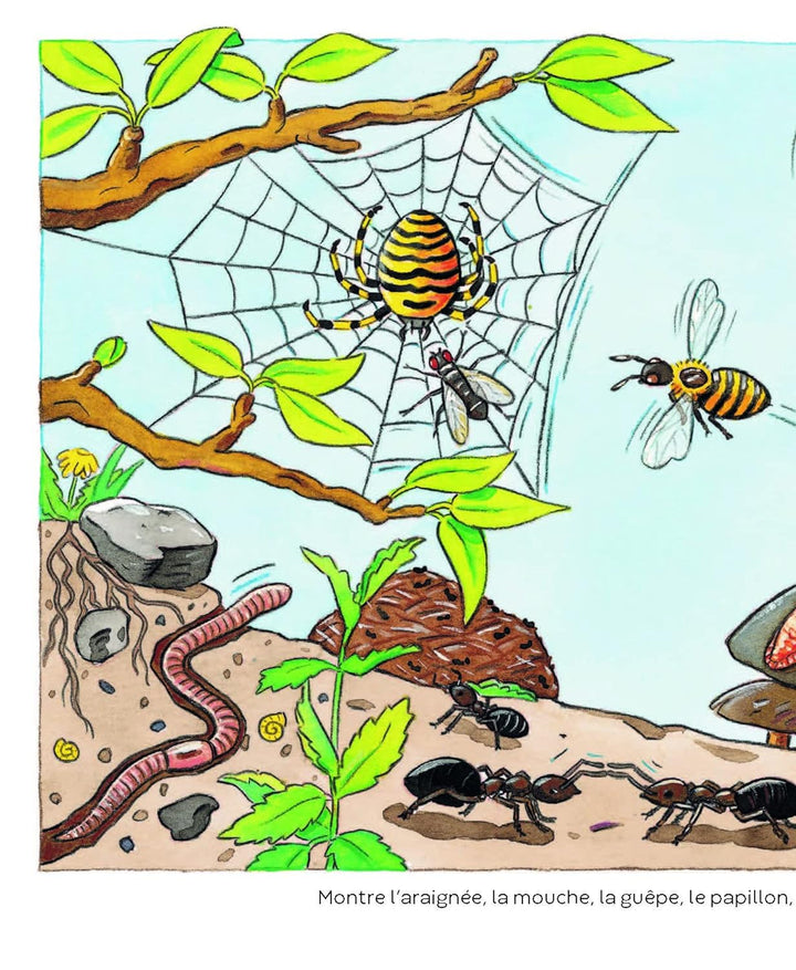 L’imagerie des tout-petits : Les animaux