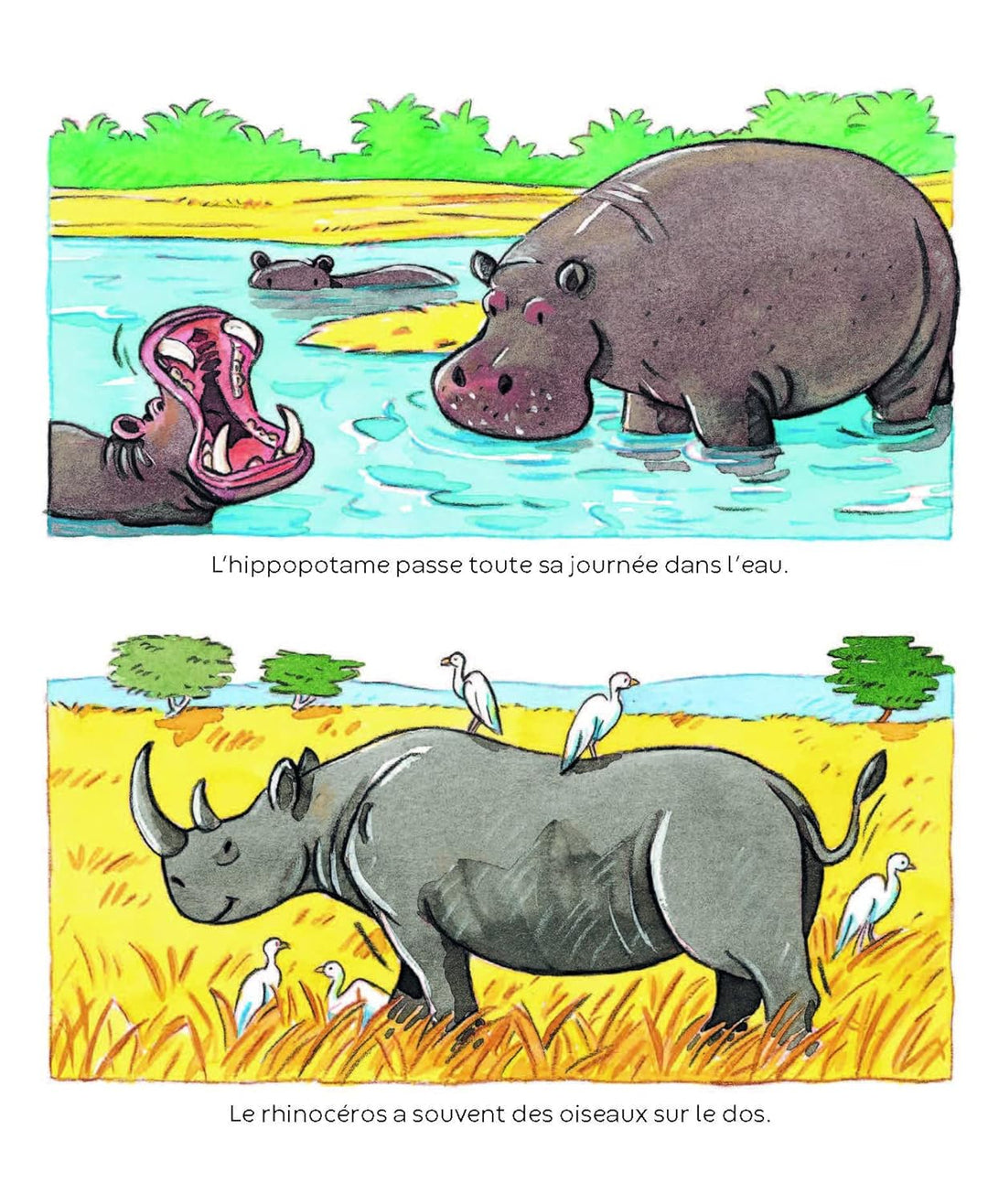 L’imagerie des tout-petits : Les animaux