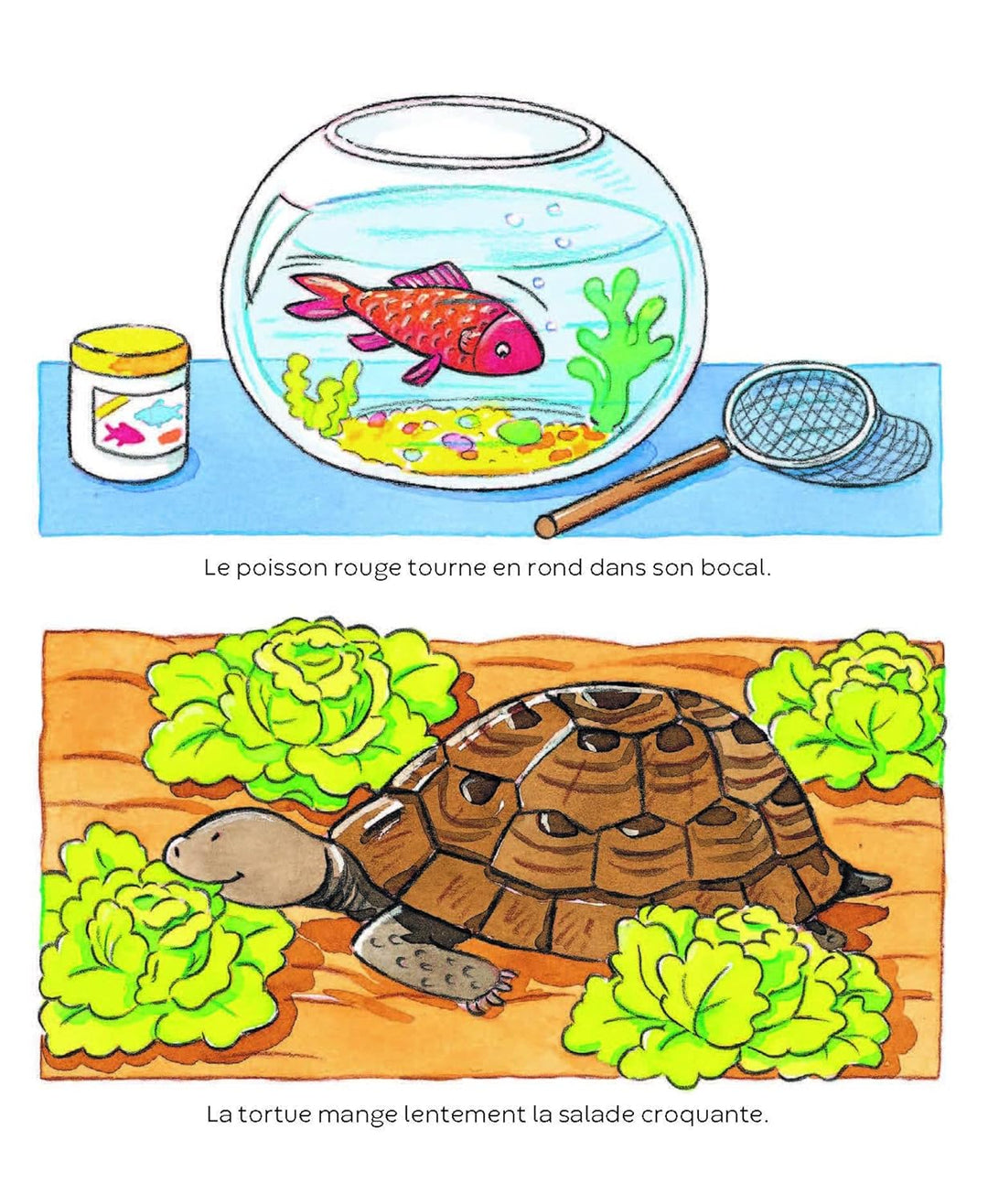 L’imagerie des tout-petits : Les animaux