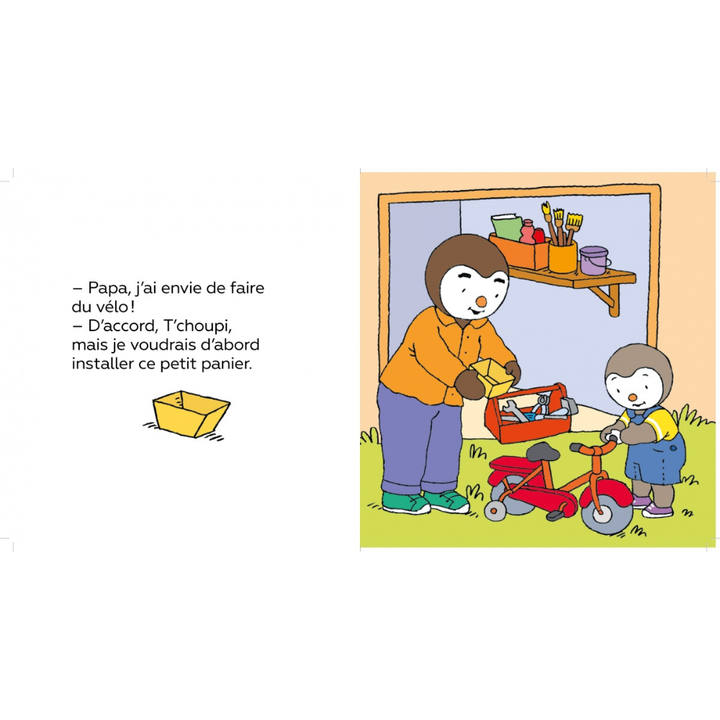 5 histoires de T'choupi - A la découverte des émotions - Dès 2 ans