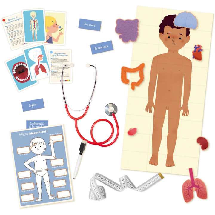 Au rythme de l'enfant le corps humain