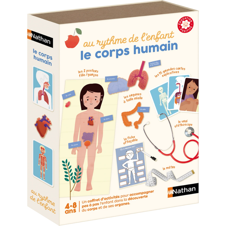 Au rythme de l'enfant le corps humain