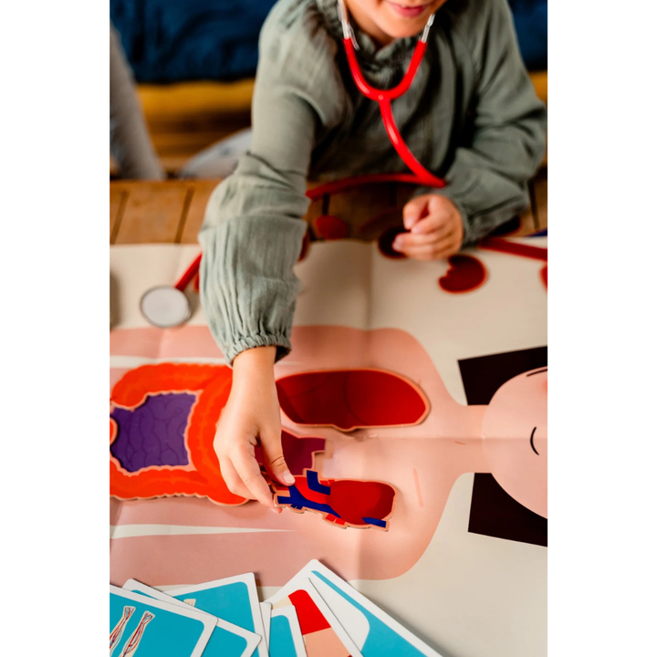 Au rythme de l'enfant le corps humain